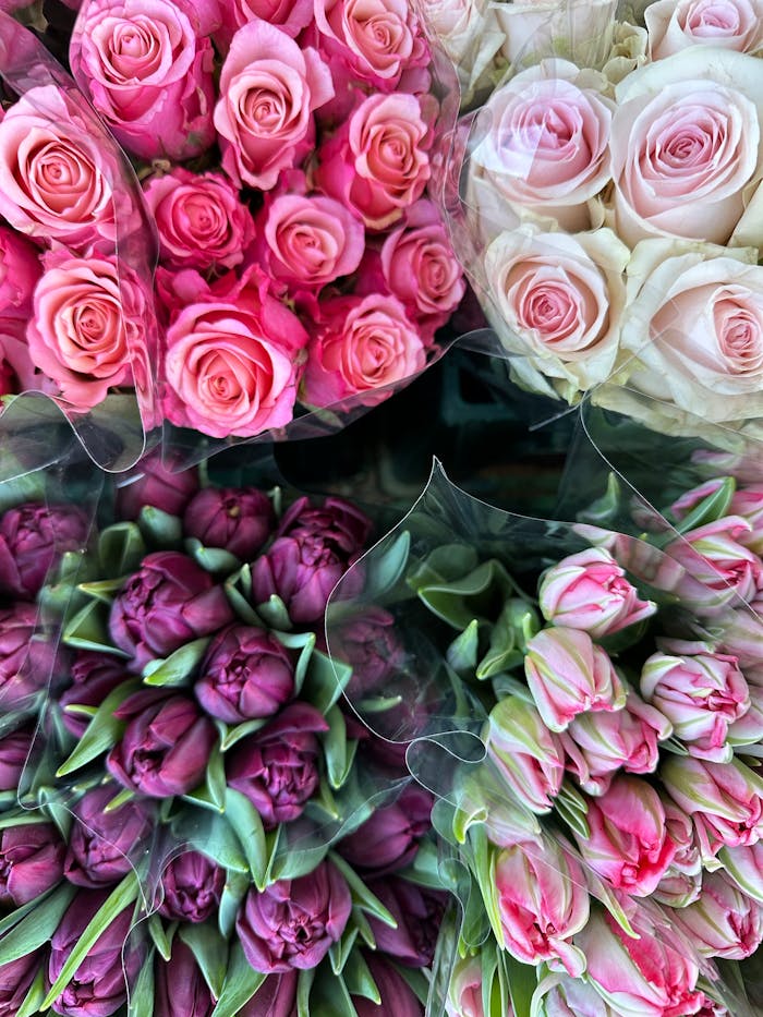 Colorful assortment of pink and white roses and tulips, perfect for floral arrangements.