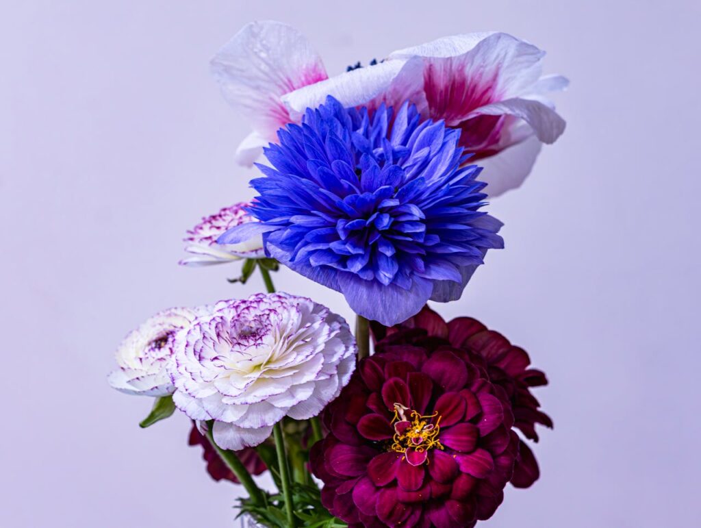 A colorful arrangement of various flowers showcasing purple, white, and red hues.