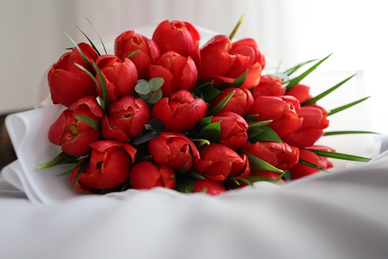 A beautiful bouquet of fresh red tulips wrapped elegantly, ideal for floral decor and celebrations.