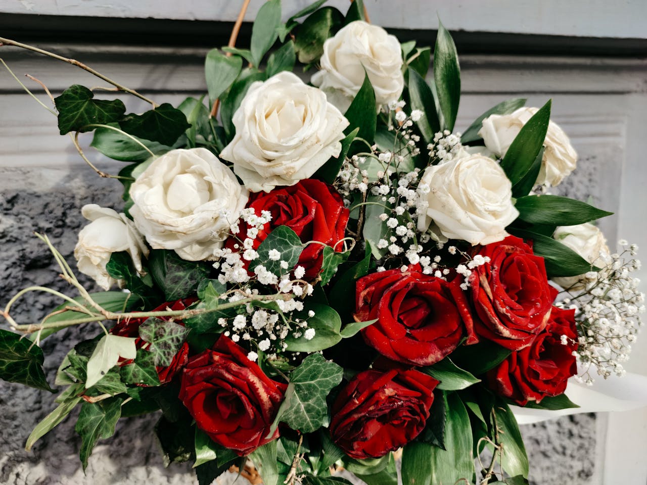 Elegant bouquet of red and white roses with ivy and baby's breath.